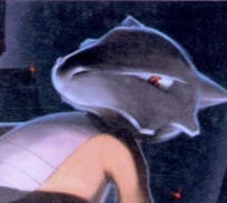 MAROWAK